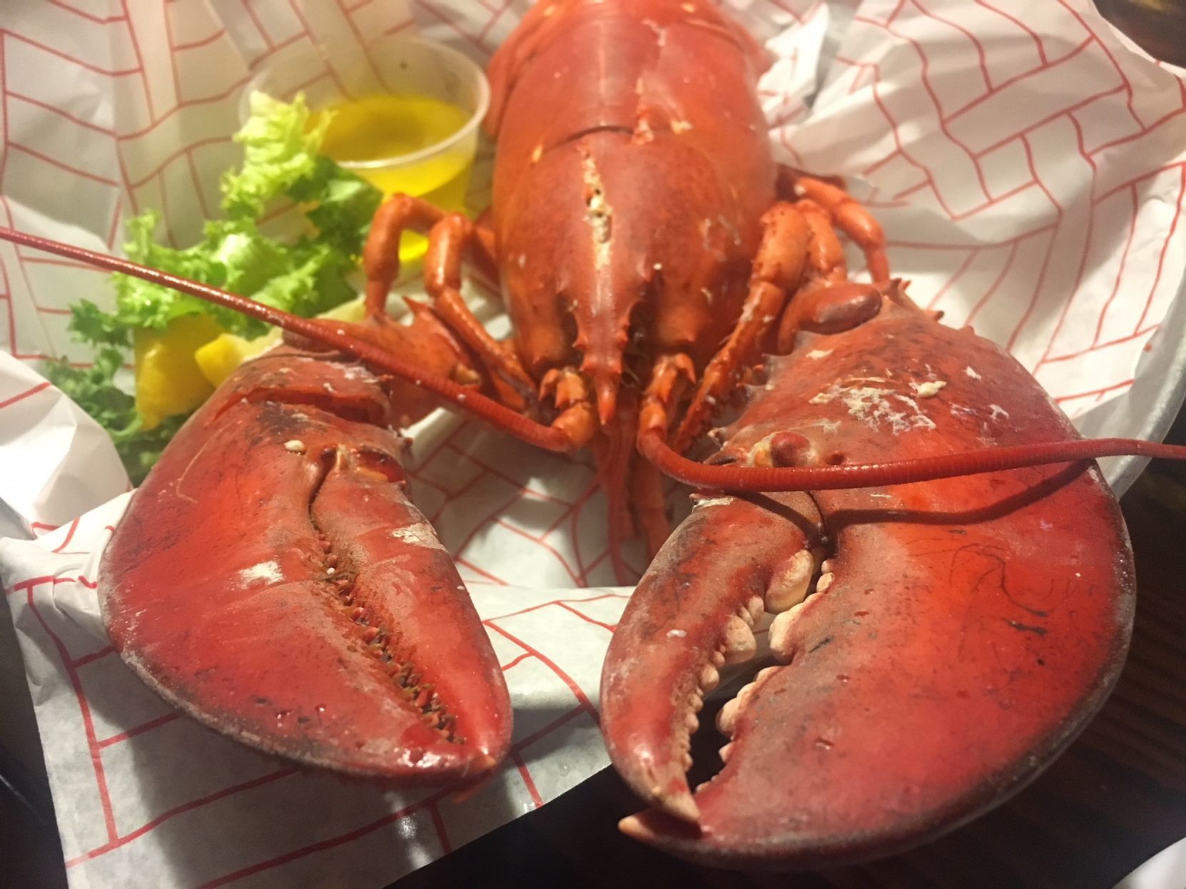 Harvey Cedars Lobster